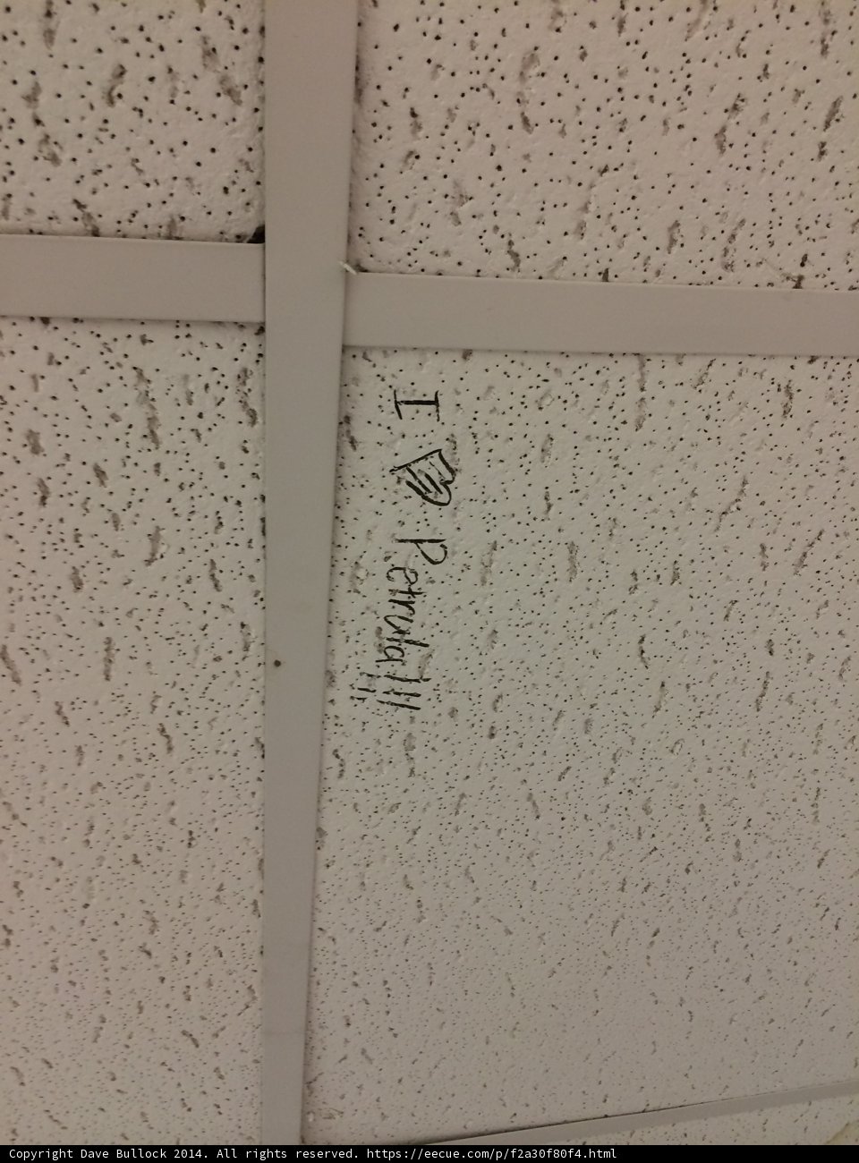 Handwritten Ceiling
