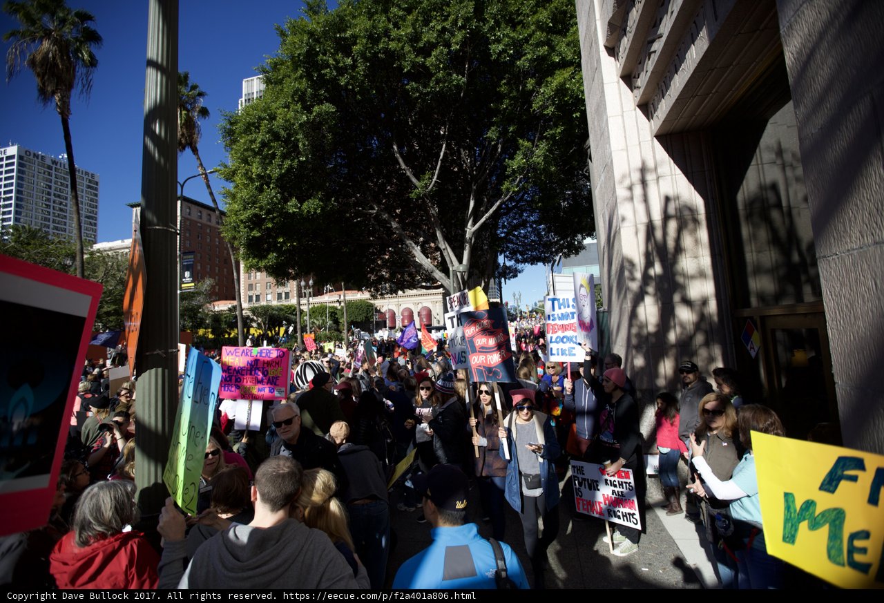 The Women's March