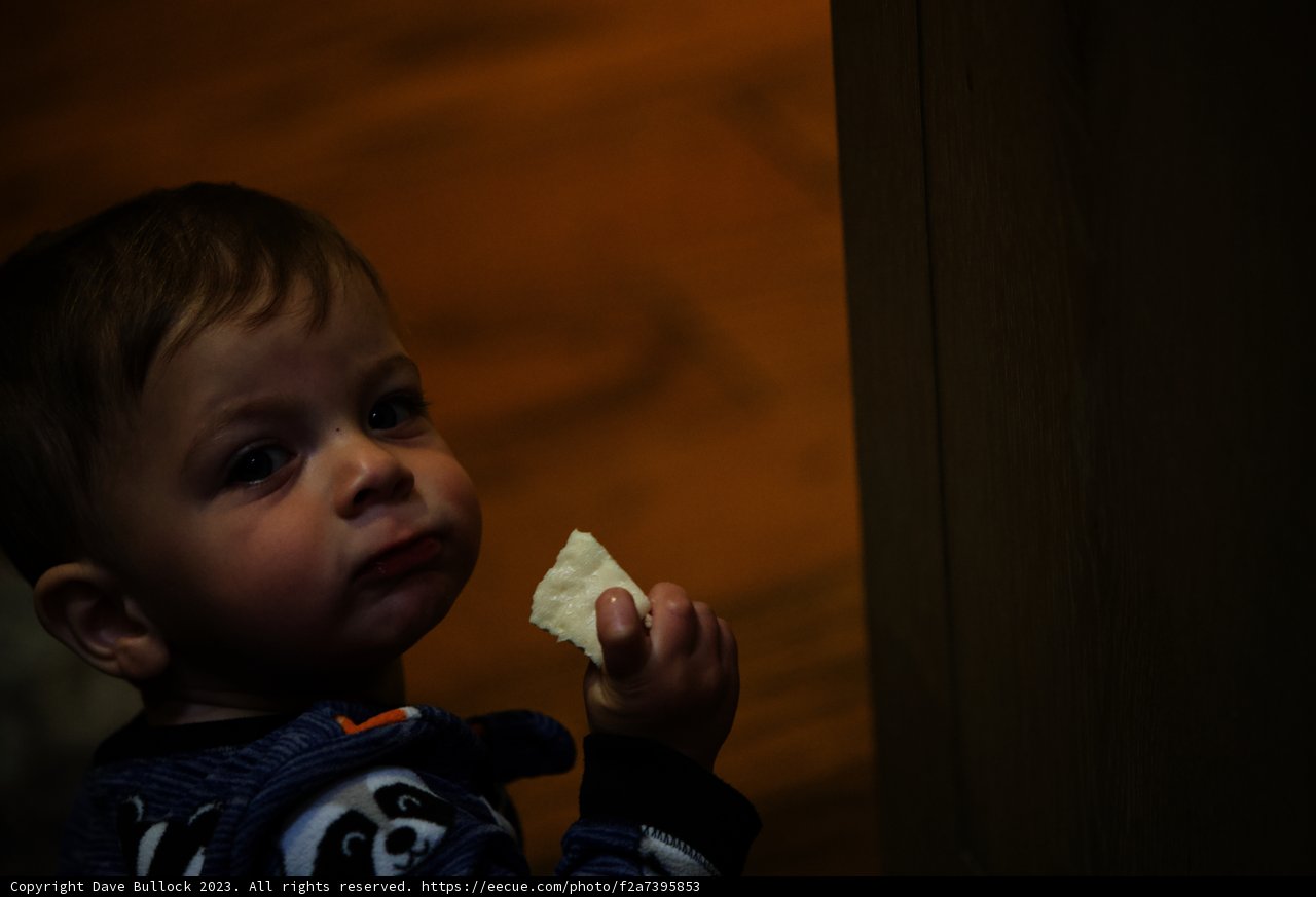The Joy of Bread