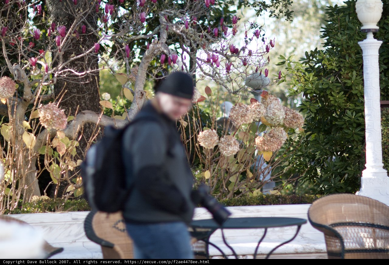 Backpacker on the Avenue