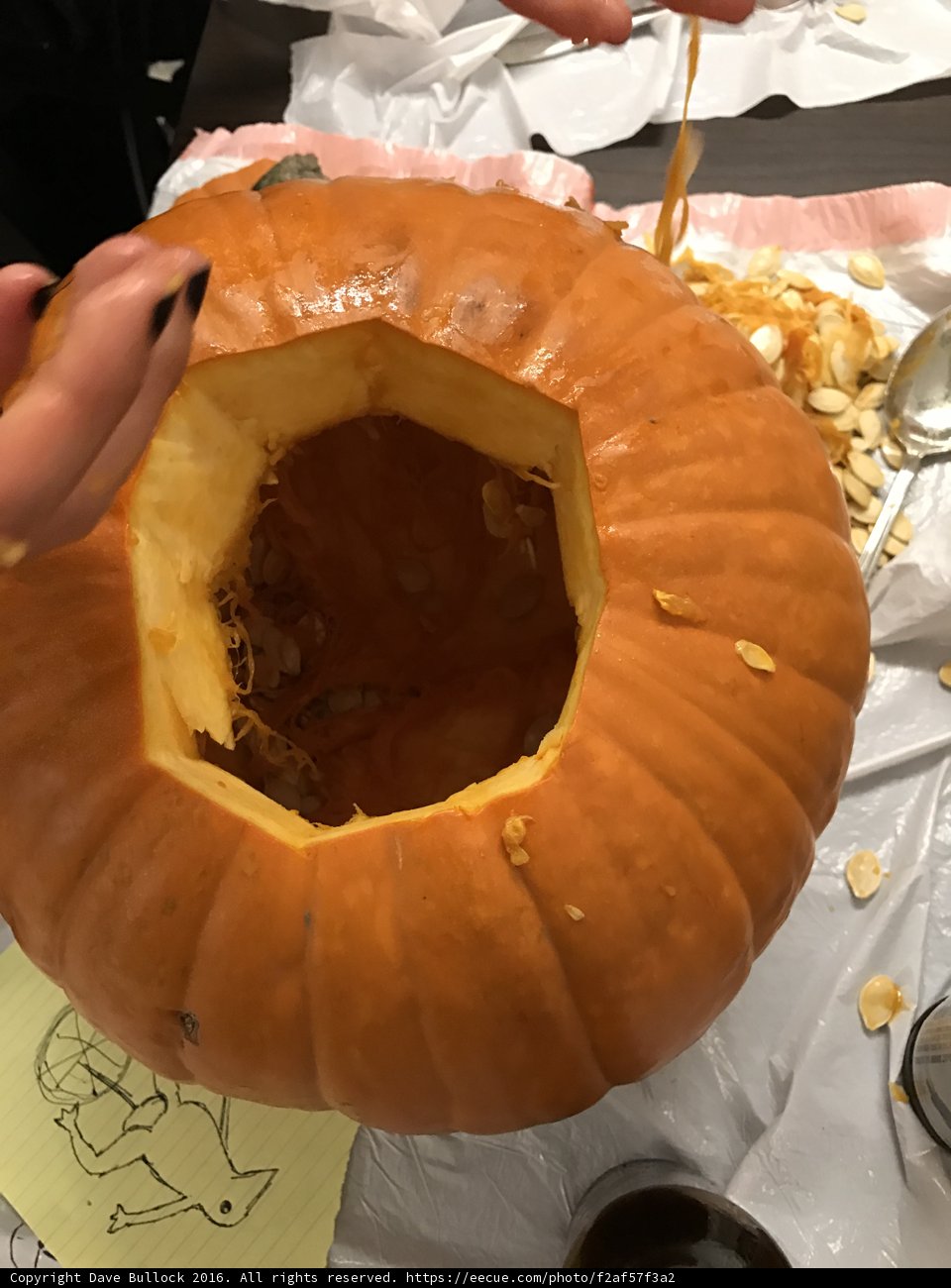 Pumpkin cutting time