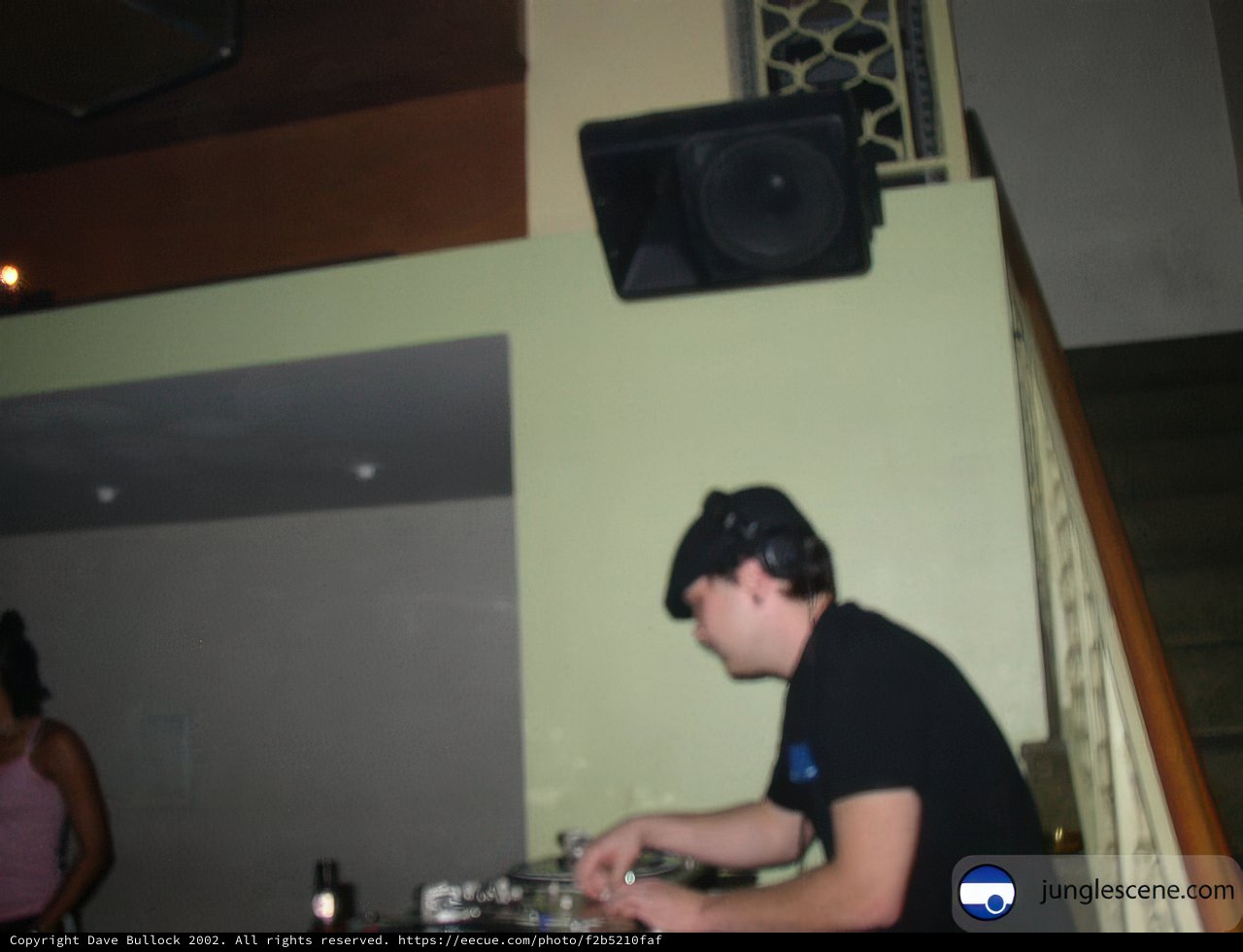 DJ Spinning the Beats