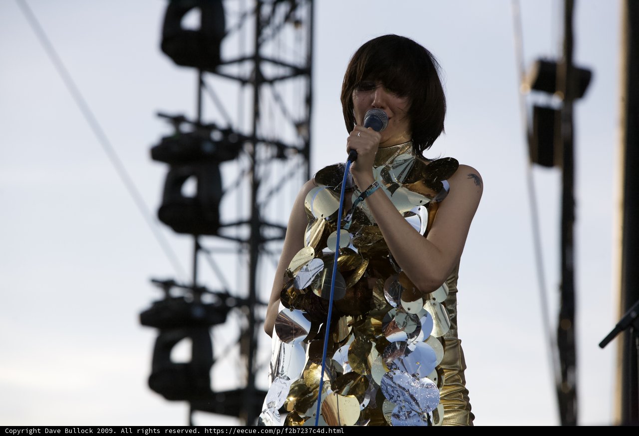 Gold Dress Diva