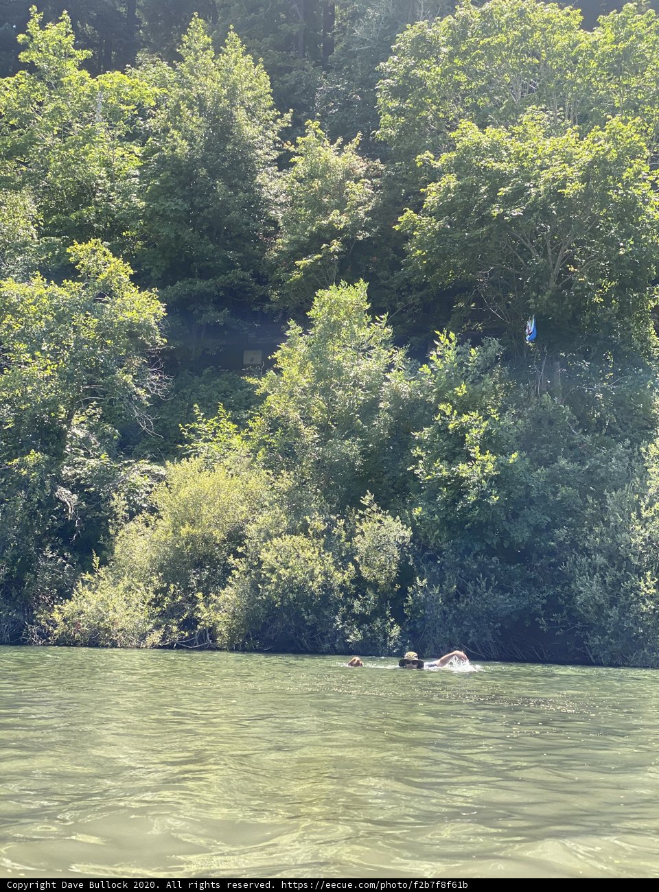 Kite-Flying Fun on the Water