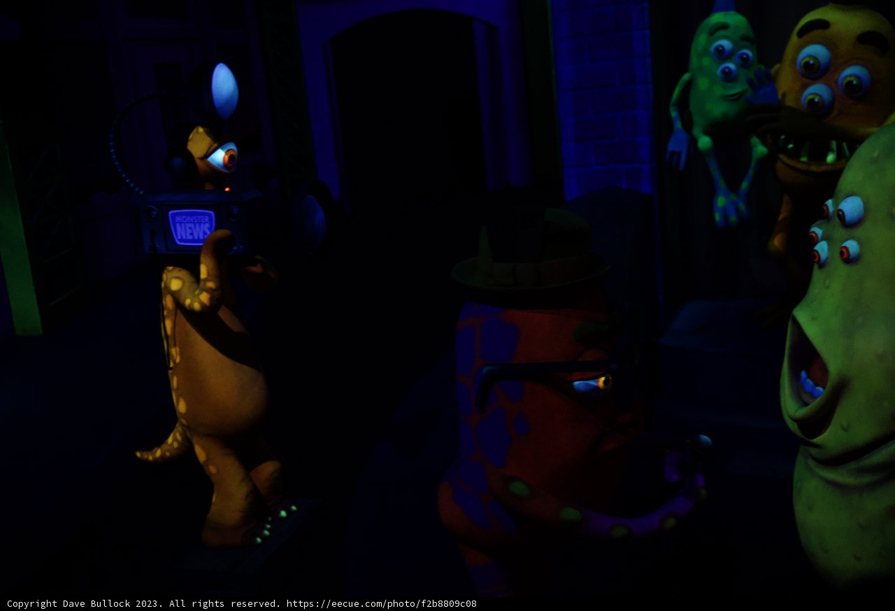 A Magical Encounter at Disneyland