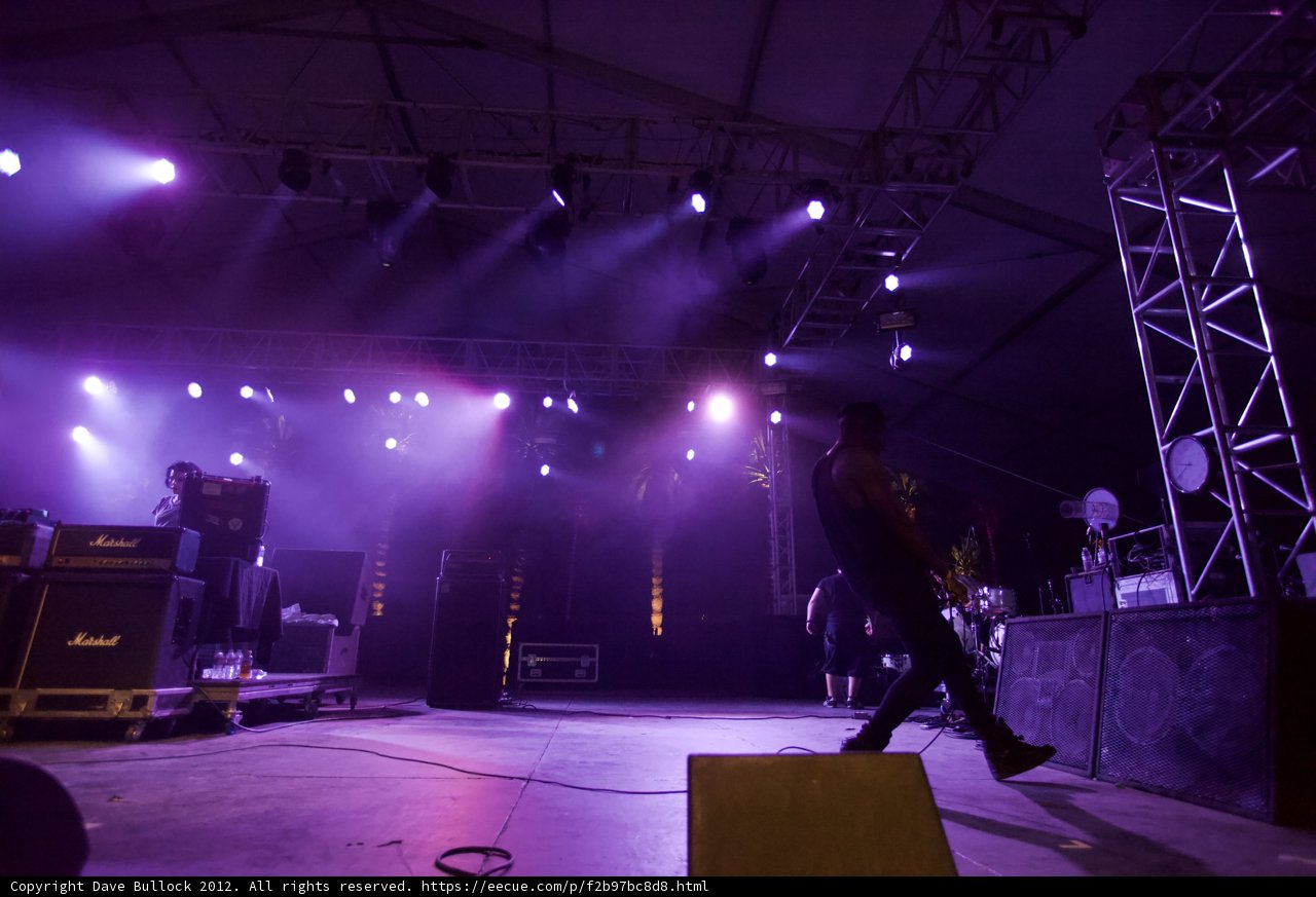 Purple Haze Performance