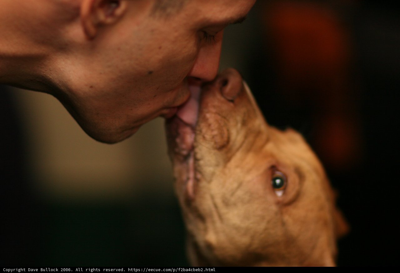 Puppy Love
