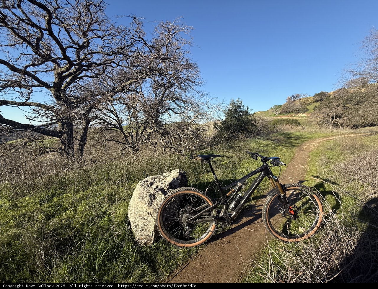 Serene Trails of Lime Ridge