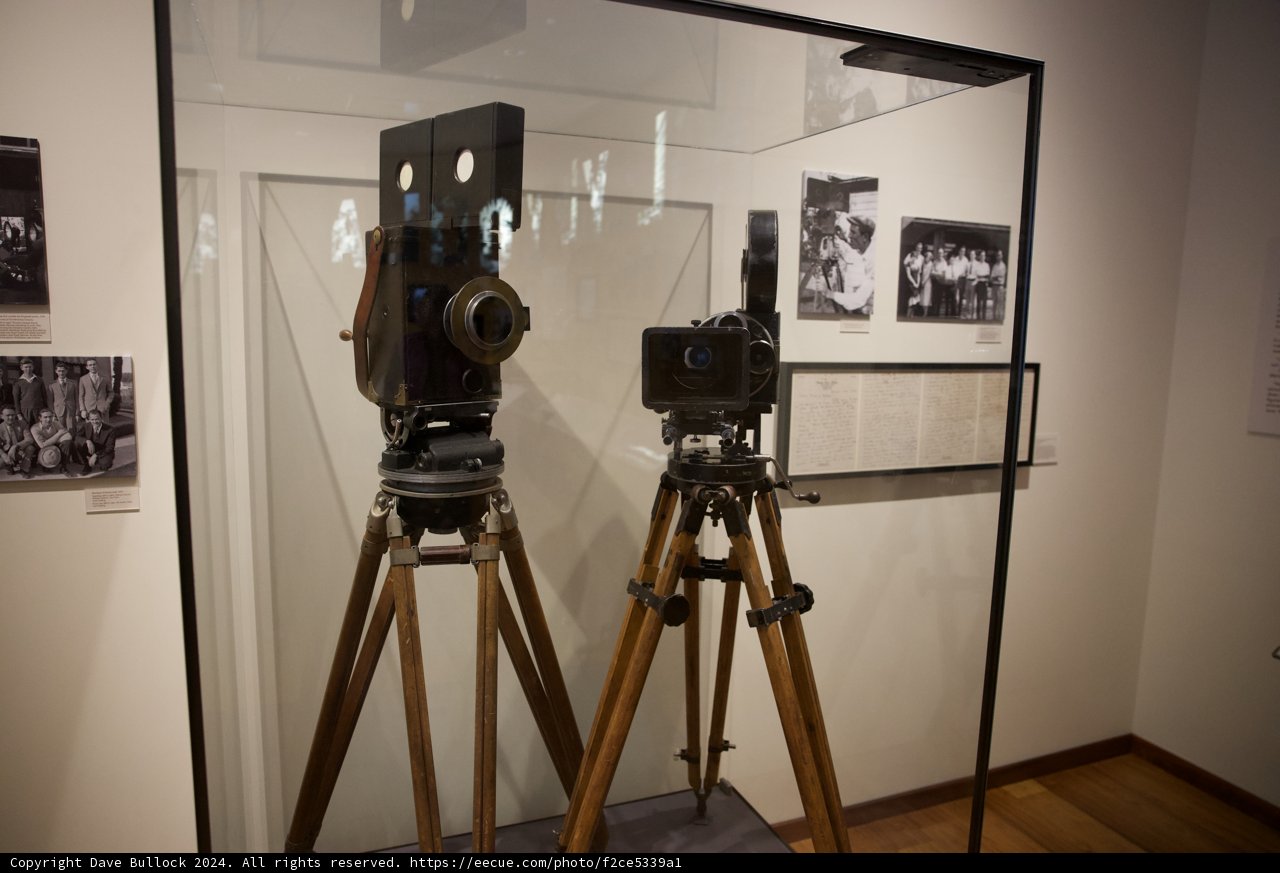 Vintage Gaze in Lens