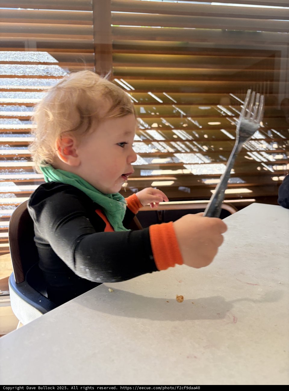 Little Fork Master