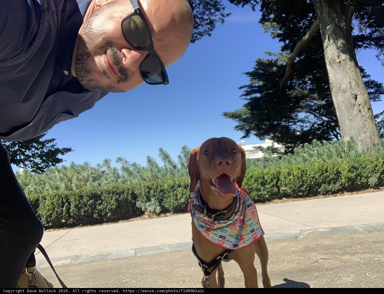 Selfie Time with My Pup