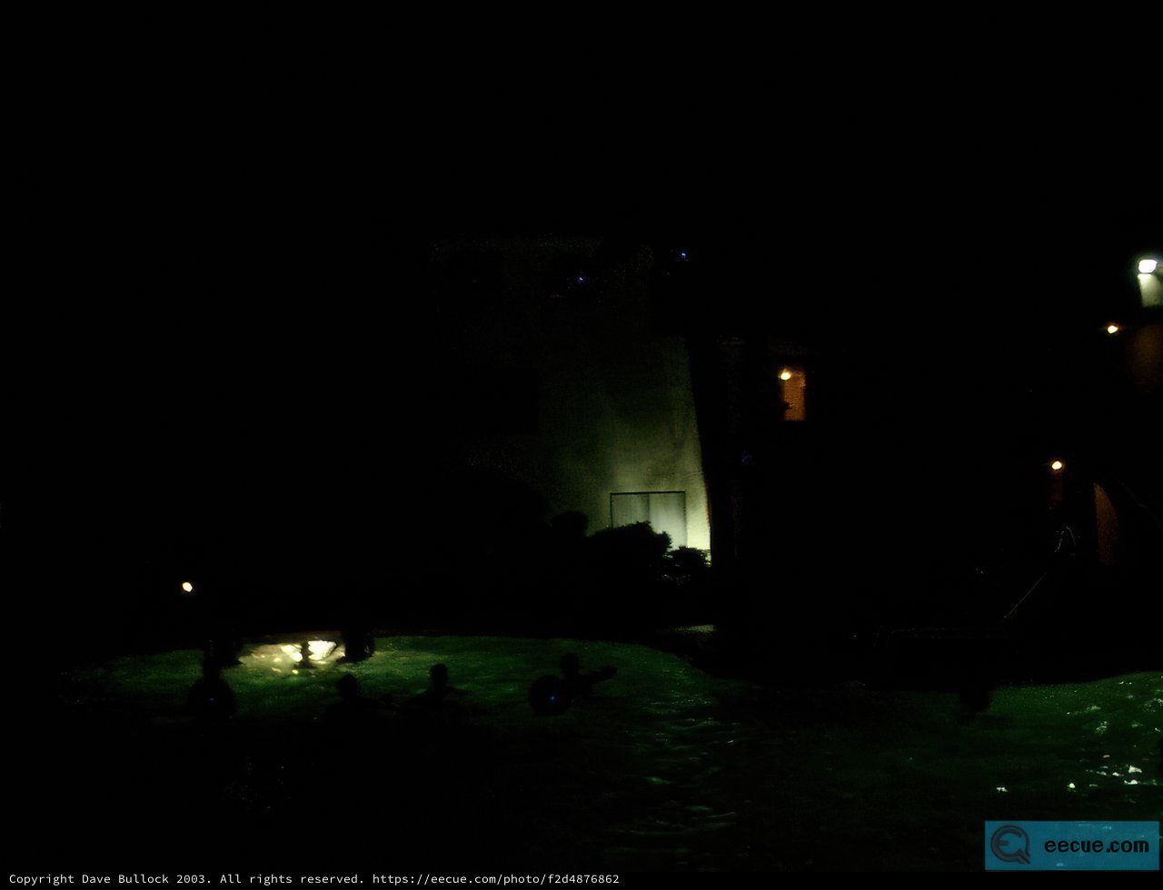 Night Swim