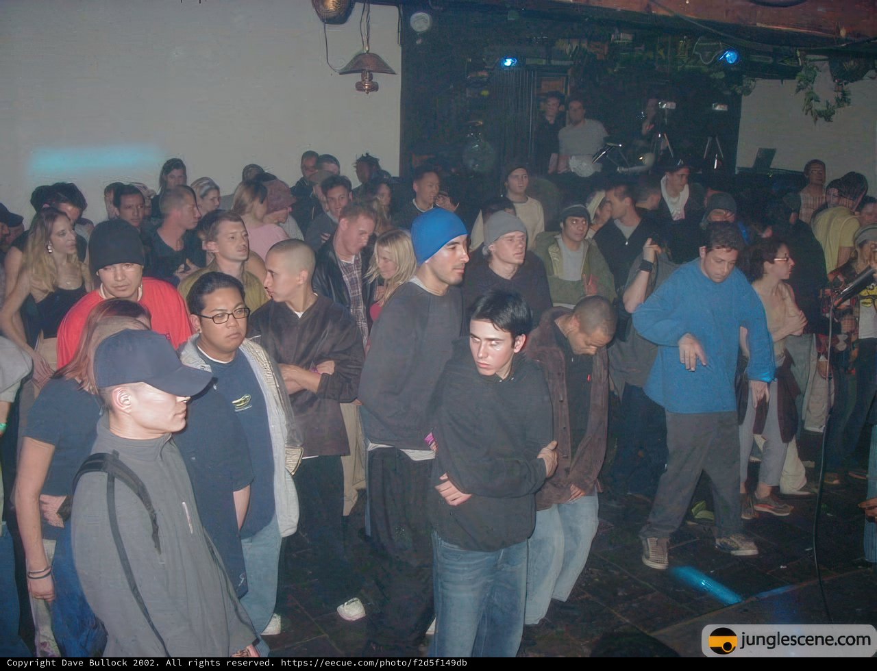 Nightclub Fun with a Stylish Crowd