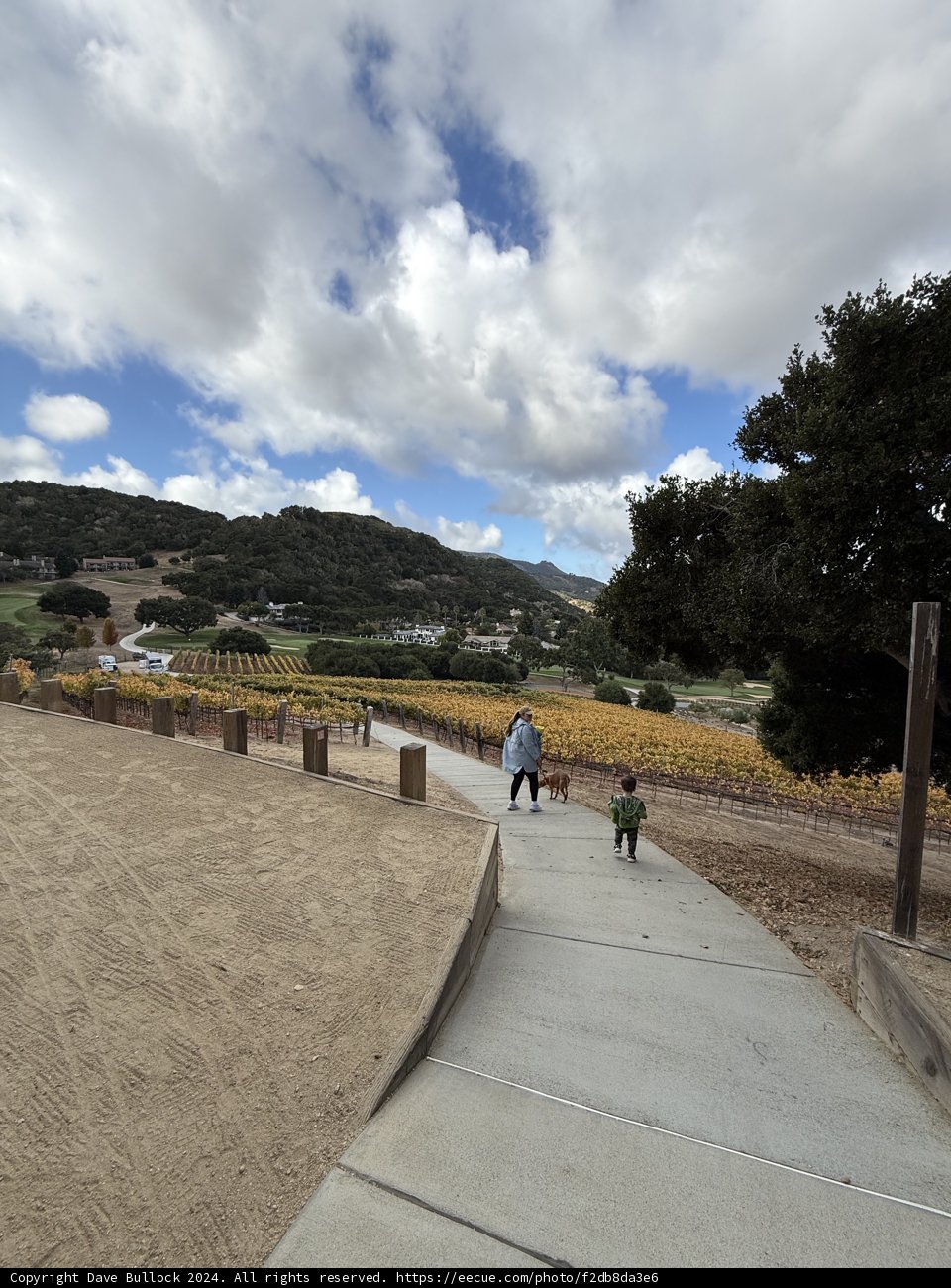 Stroll Through Carmel's Autumn Charm
