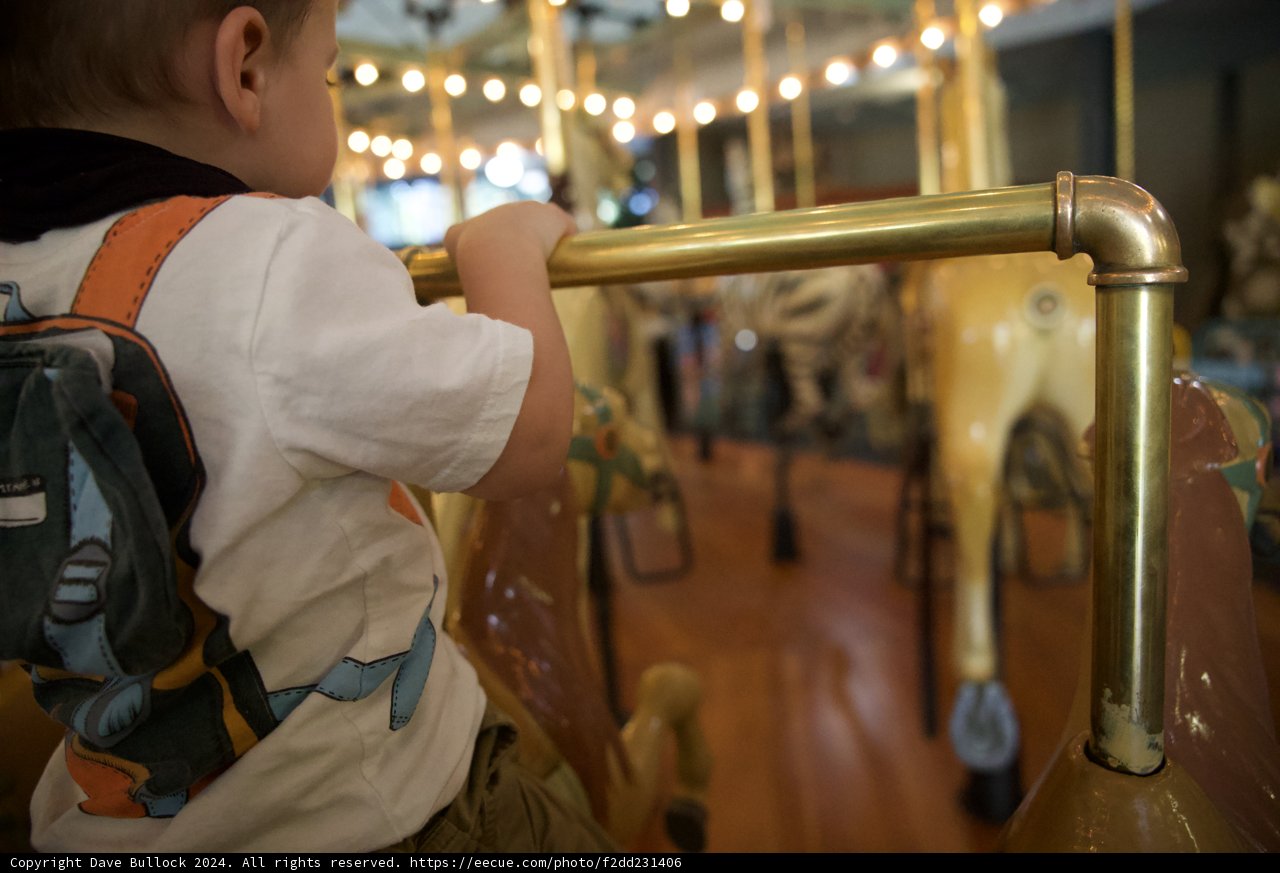 Childhood Carousel Ride