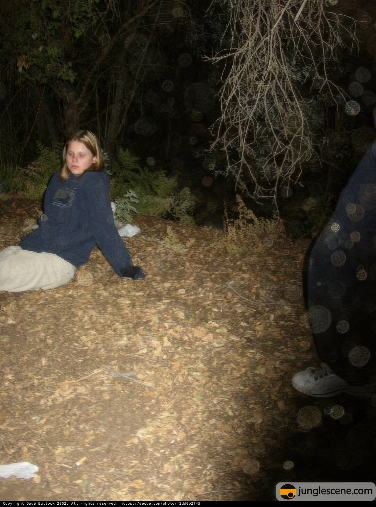 Serene in the Woods