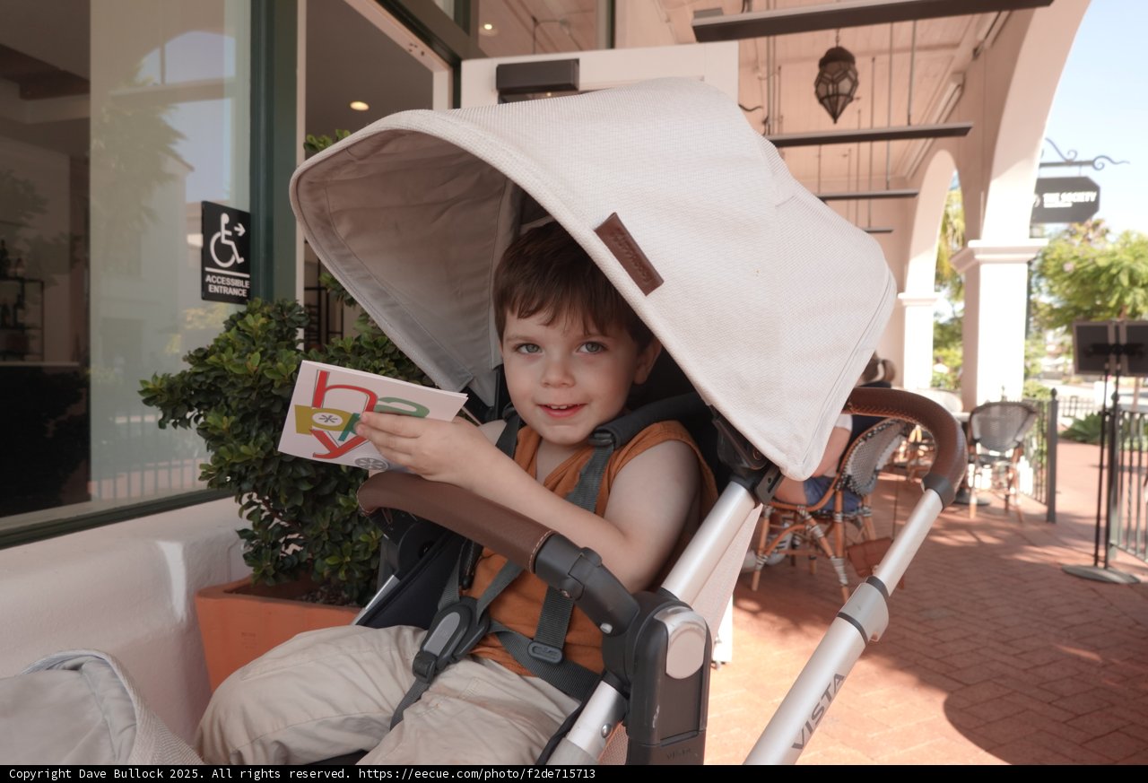 Stroller Adventures
