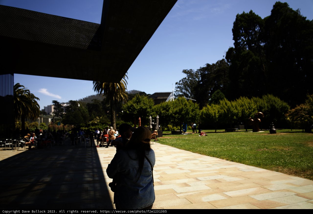 Serenity in the City Park