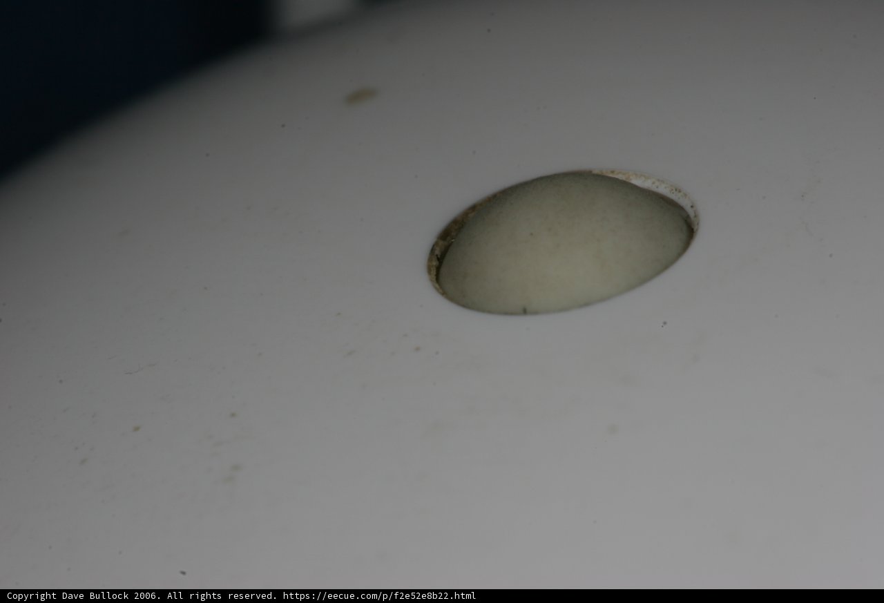 The Porcelain Egg: A Macro View