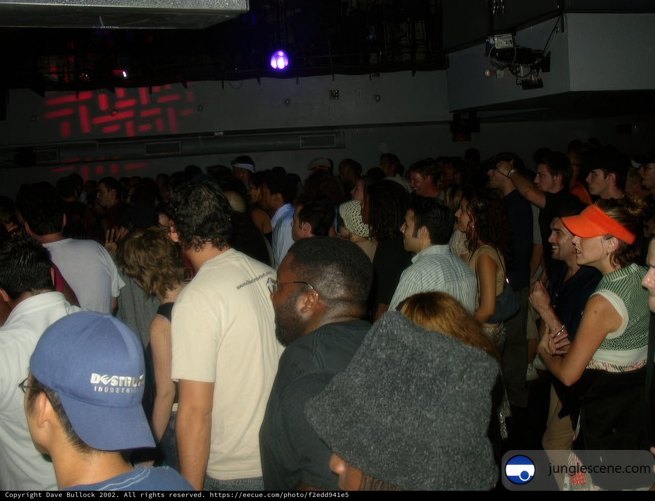 Nightclub Crowd
