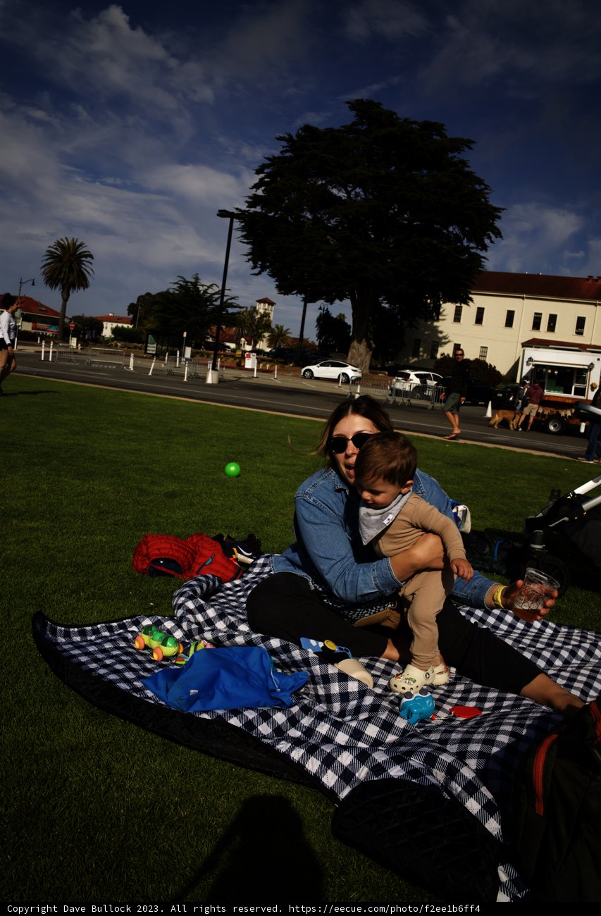 Summer Reprieve in Presidio Park