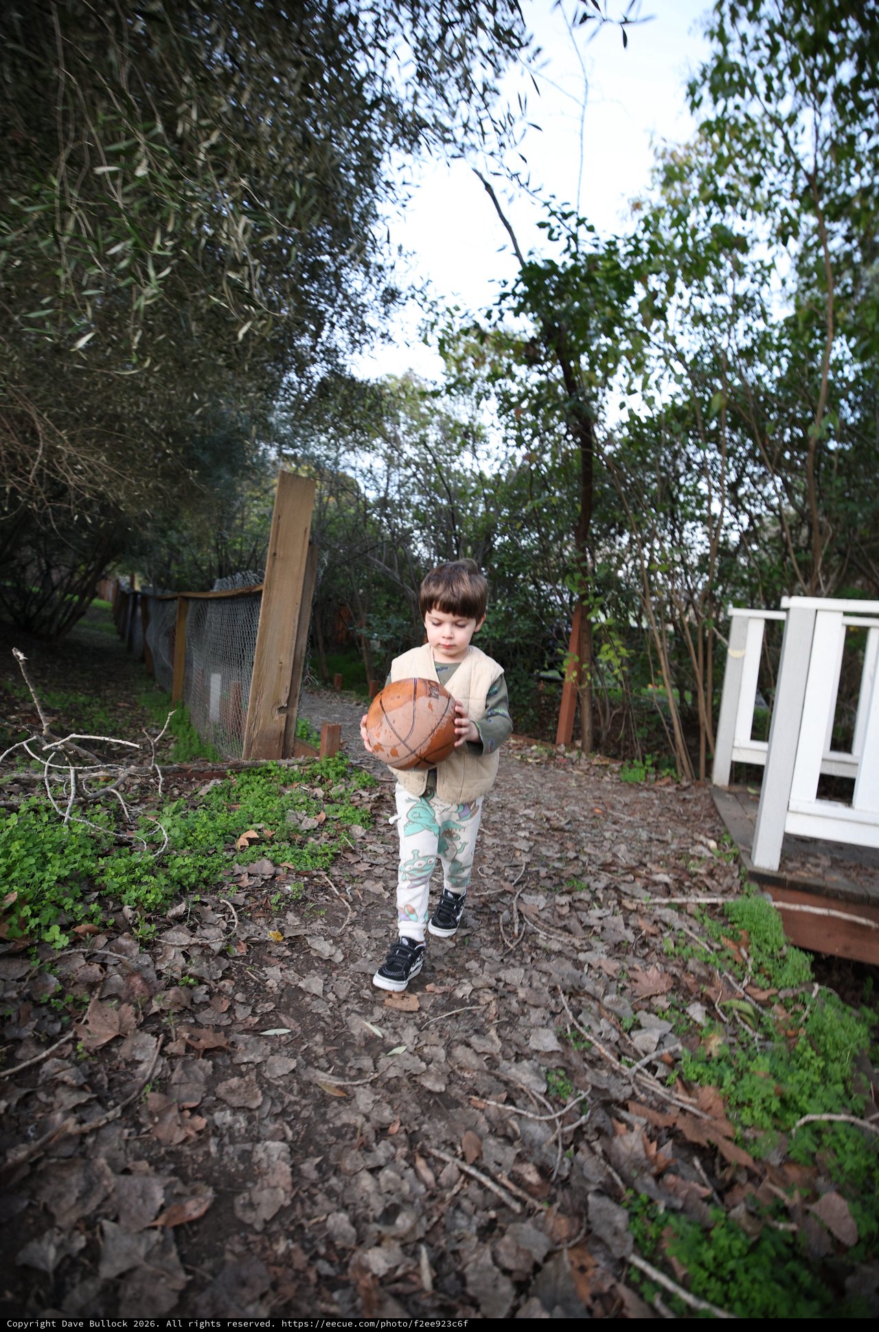 Young Boy Carrying Basketball Through Garden Path