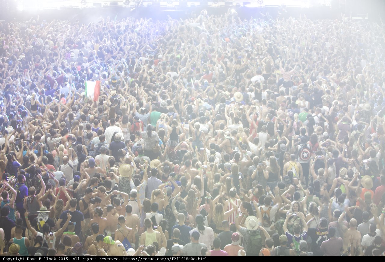 Rocking Out with the Crowd