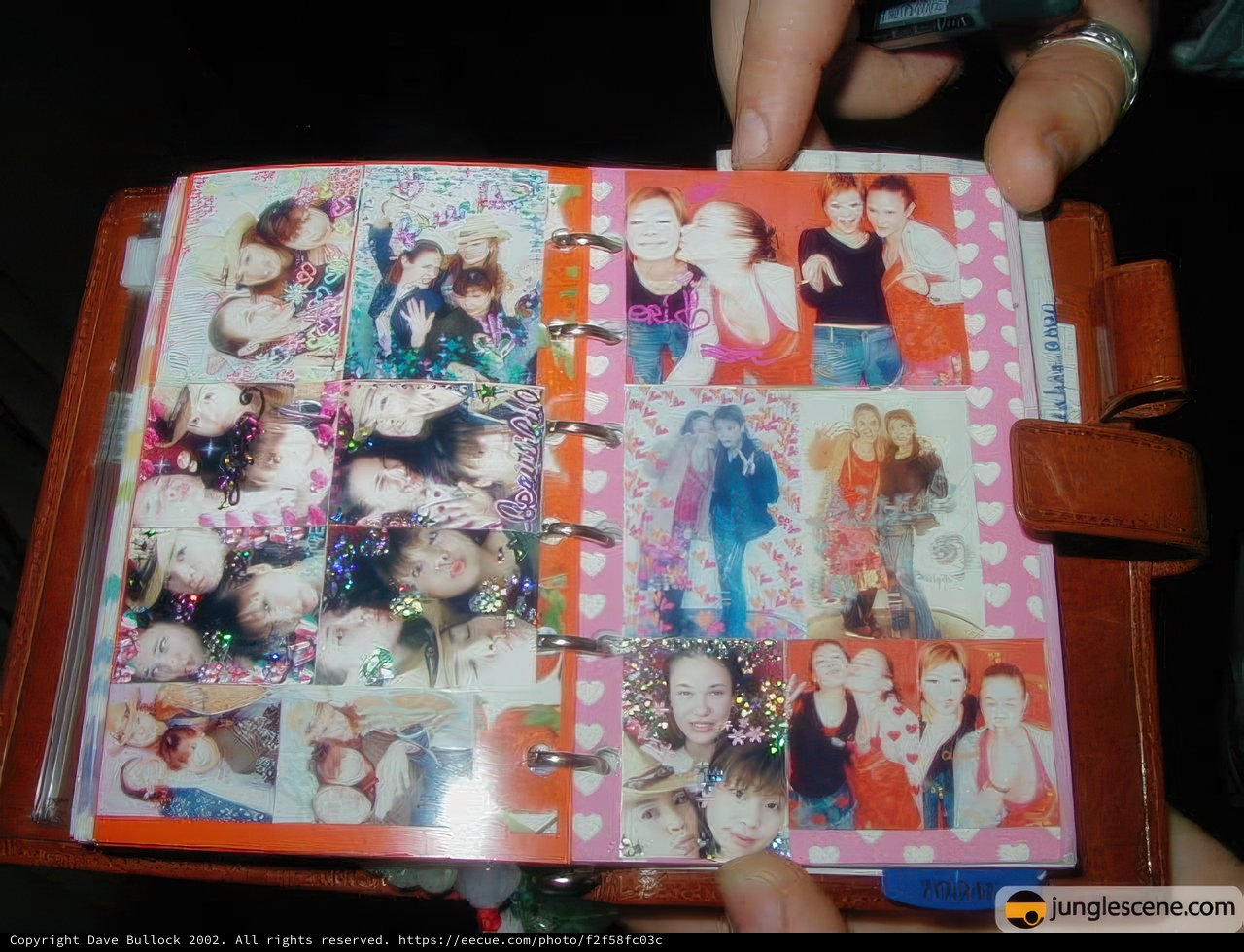 Memories from the Bree-Bree Album