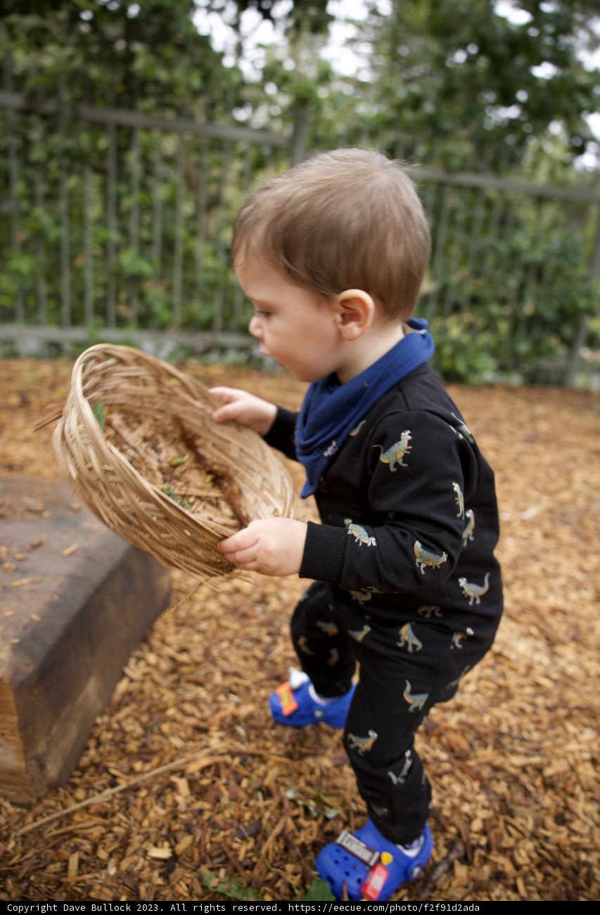 Joyful Playground Days