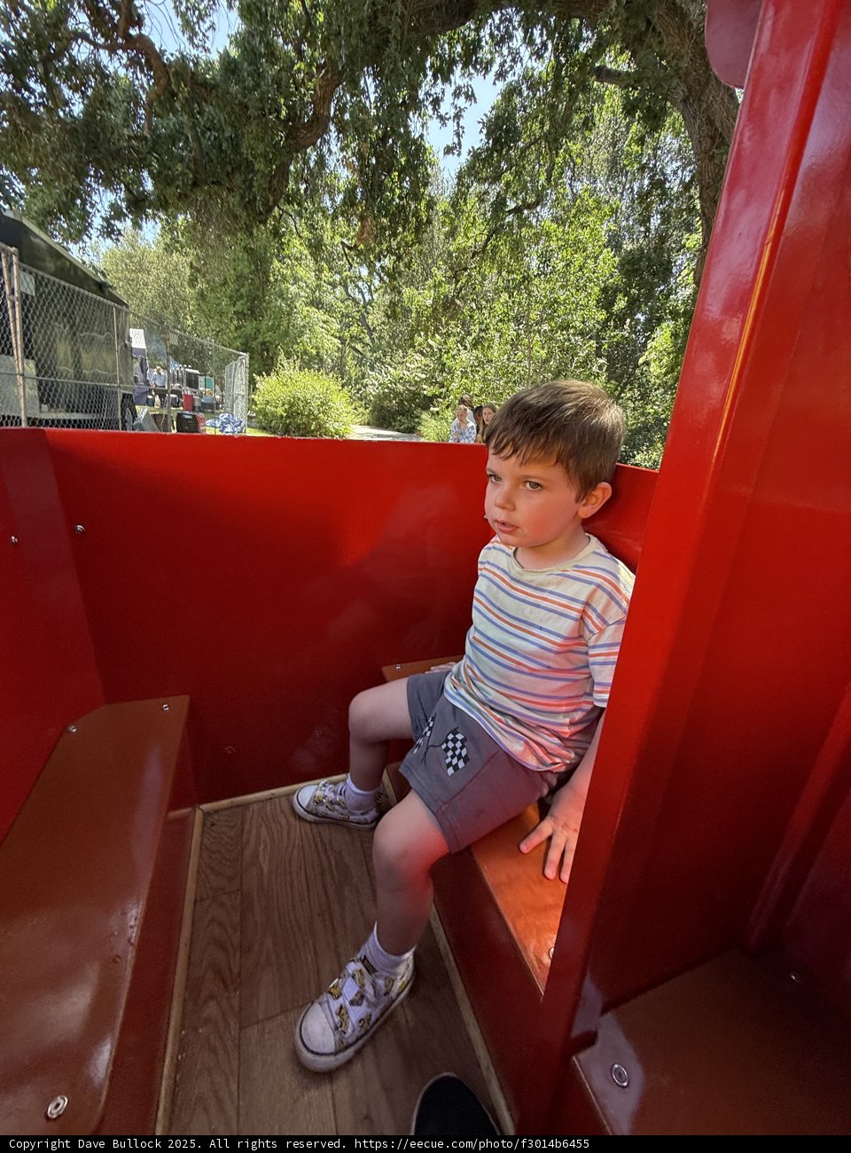 Contemplation in the Park