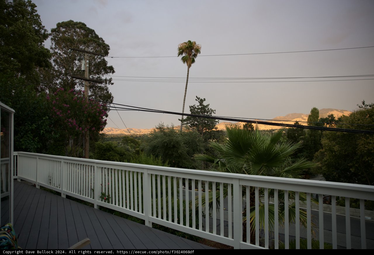 Tranquil Summer Evening