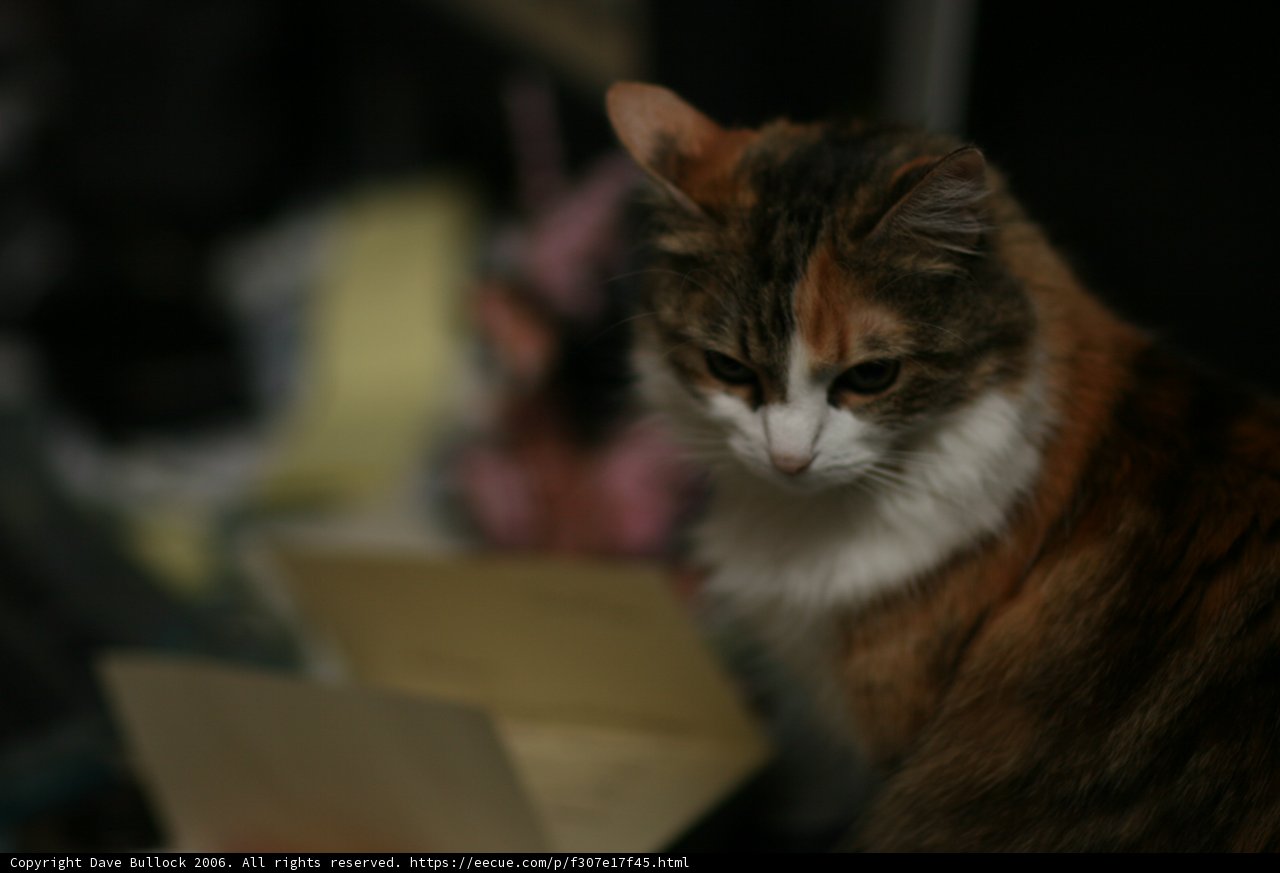 Tabletop Companion