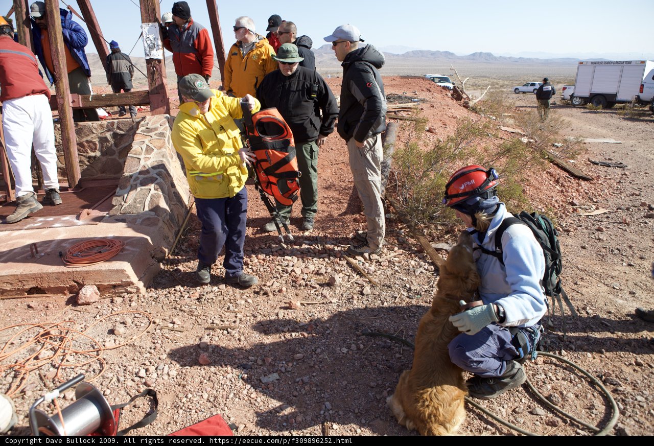 Mine Rescue Team and Their Trusty Companion