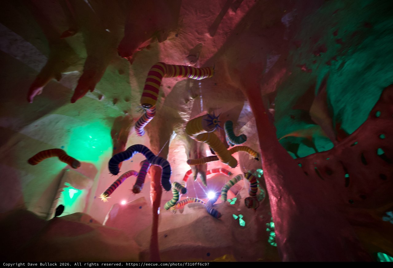 Surreal Illuminated Cave Installation with Striped Tentacles