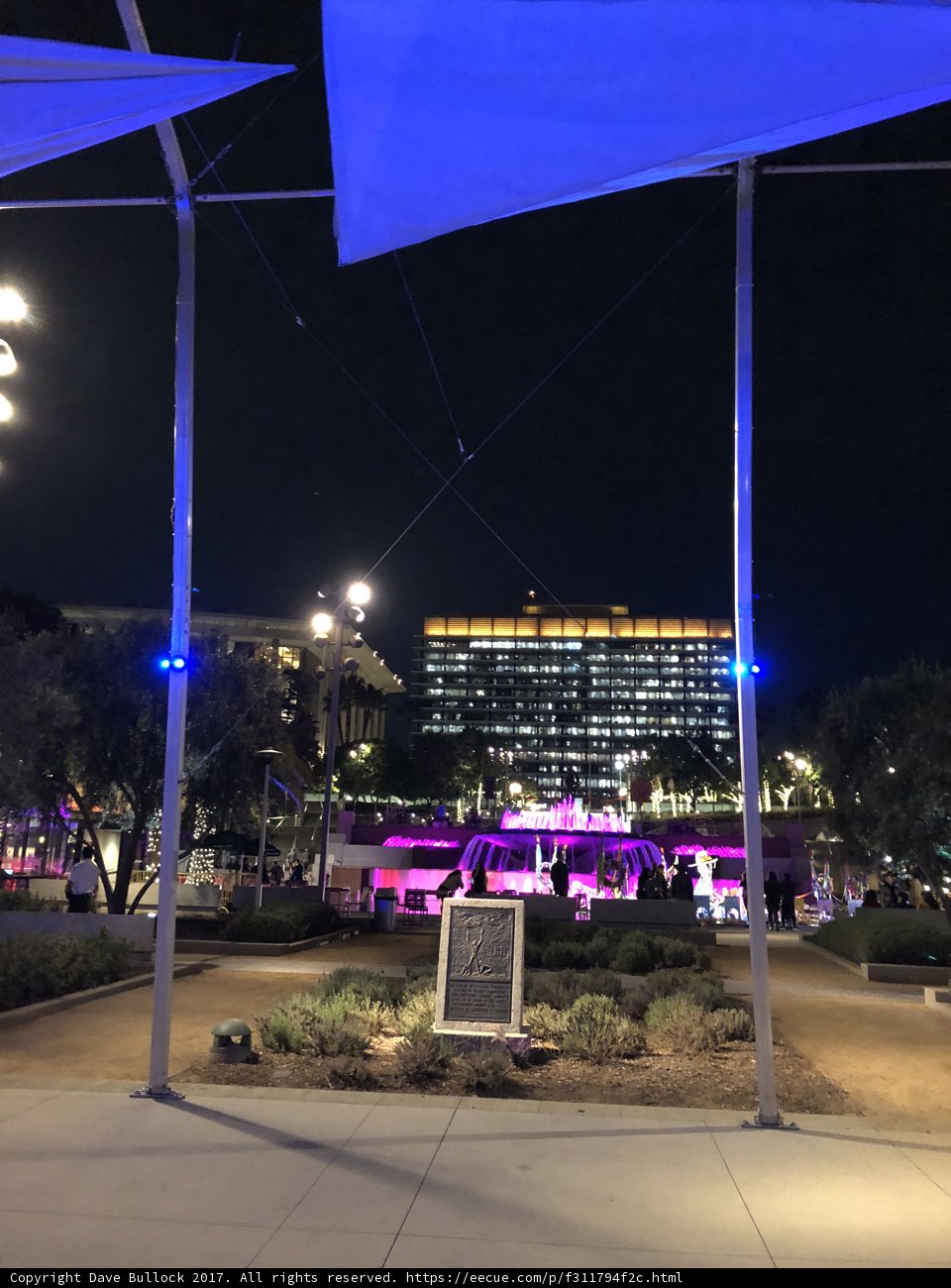 Purple Illumination in the Urban Jungle