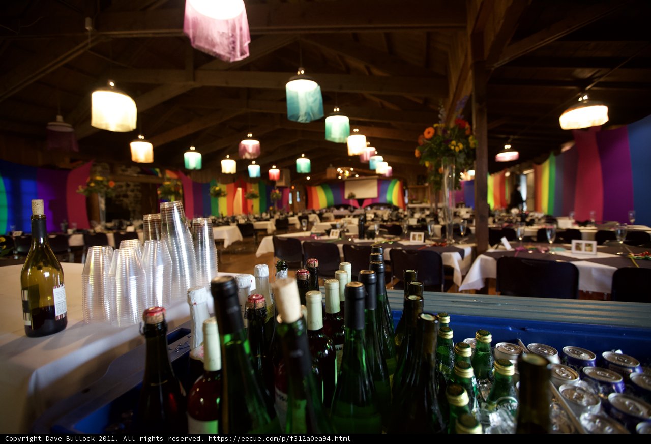 Wine Wonderland