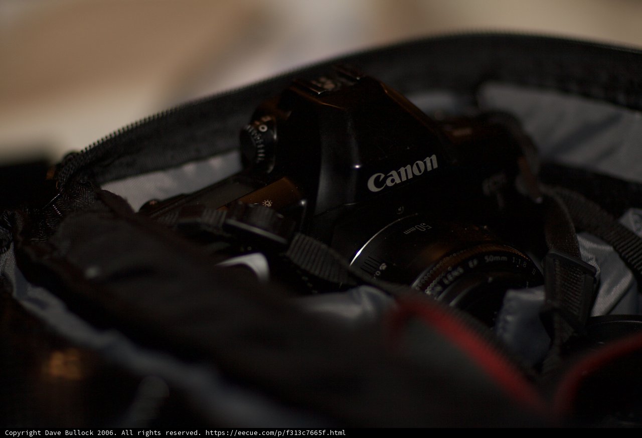 Canon EOS Rebel T3i with Accessory Strap