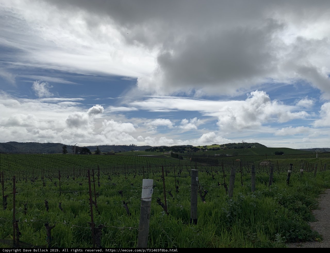 Rolling Vineyards