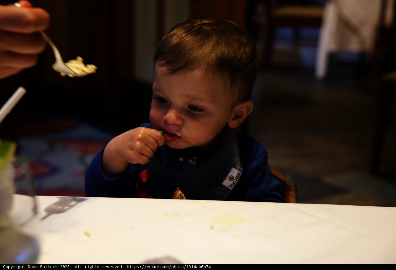 Magical Mealtime at Disneyland