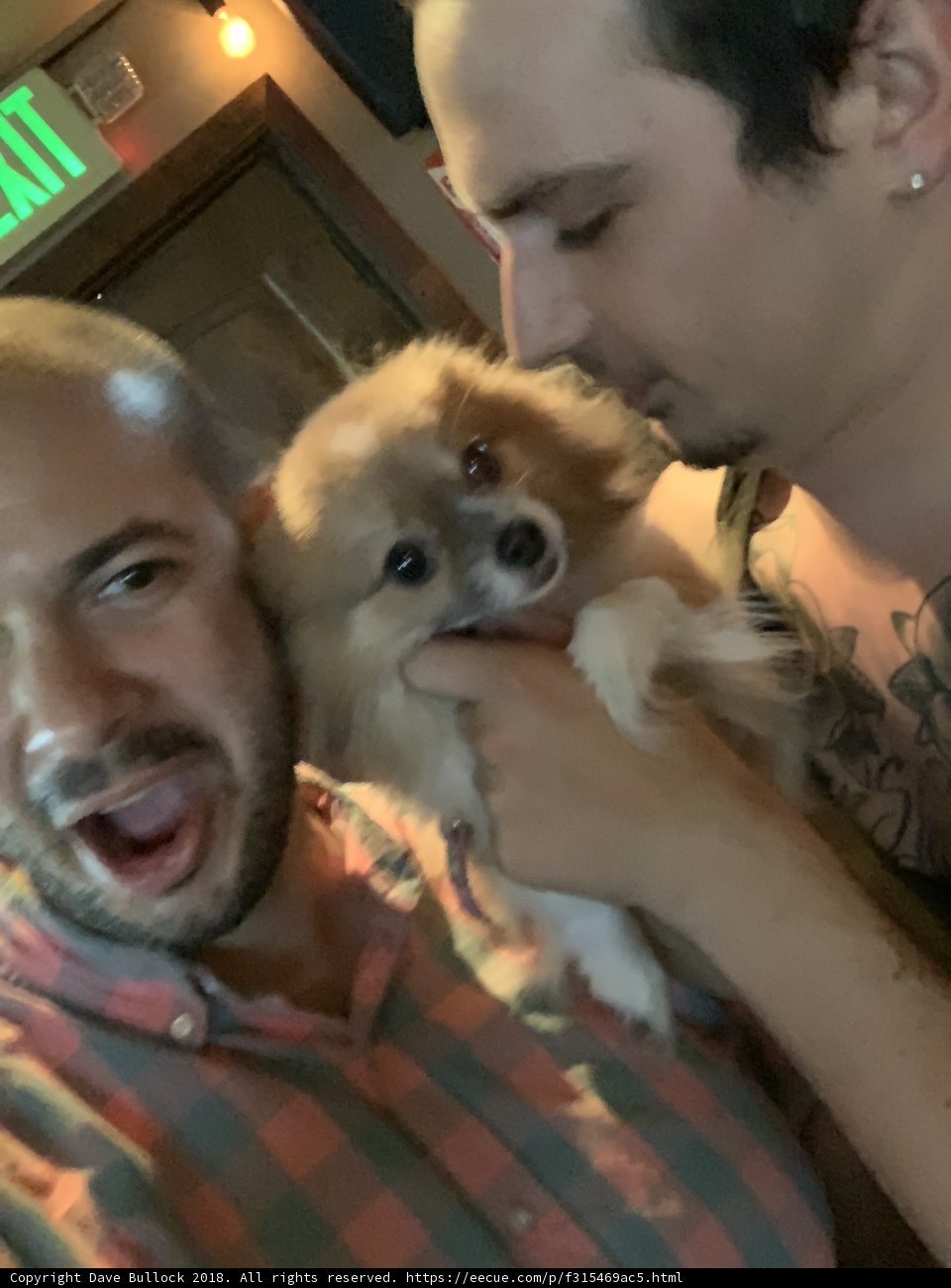 Two Men and Their Pomeranian Puppy Enjoying an Evening in the Bar