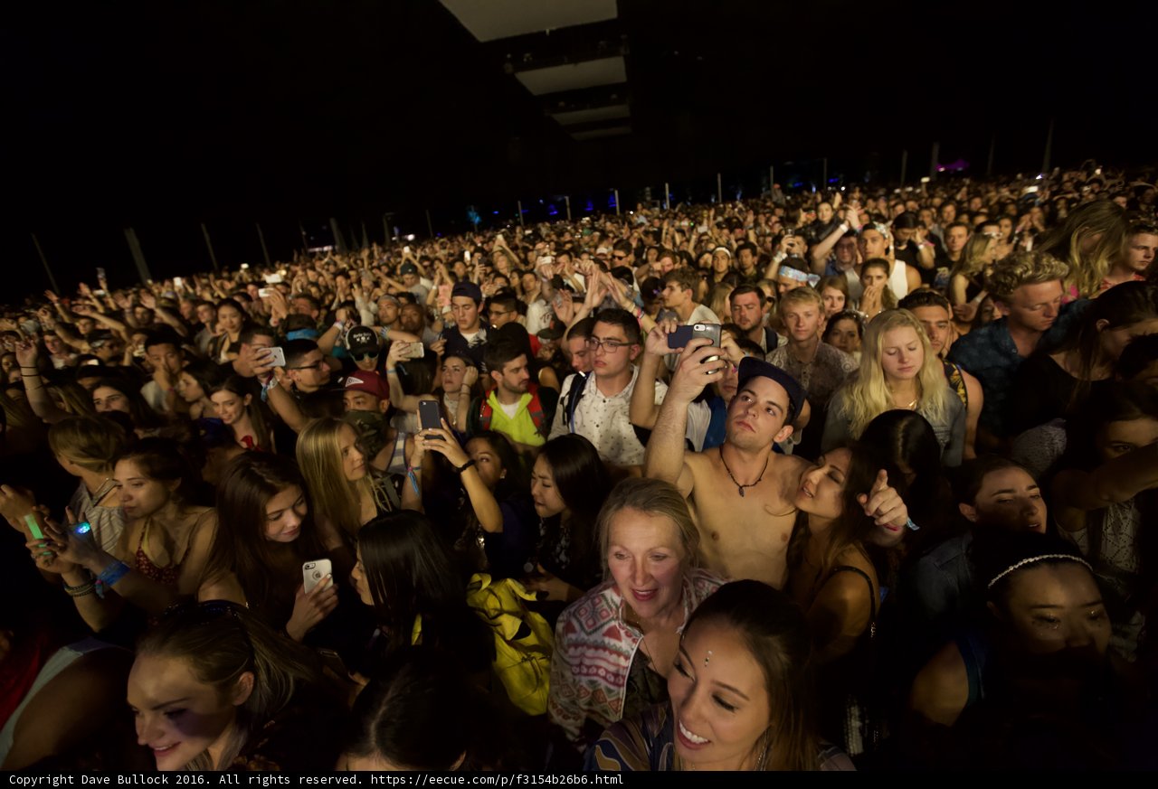 Snap Happy Crowd at Coachella 2016