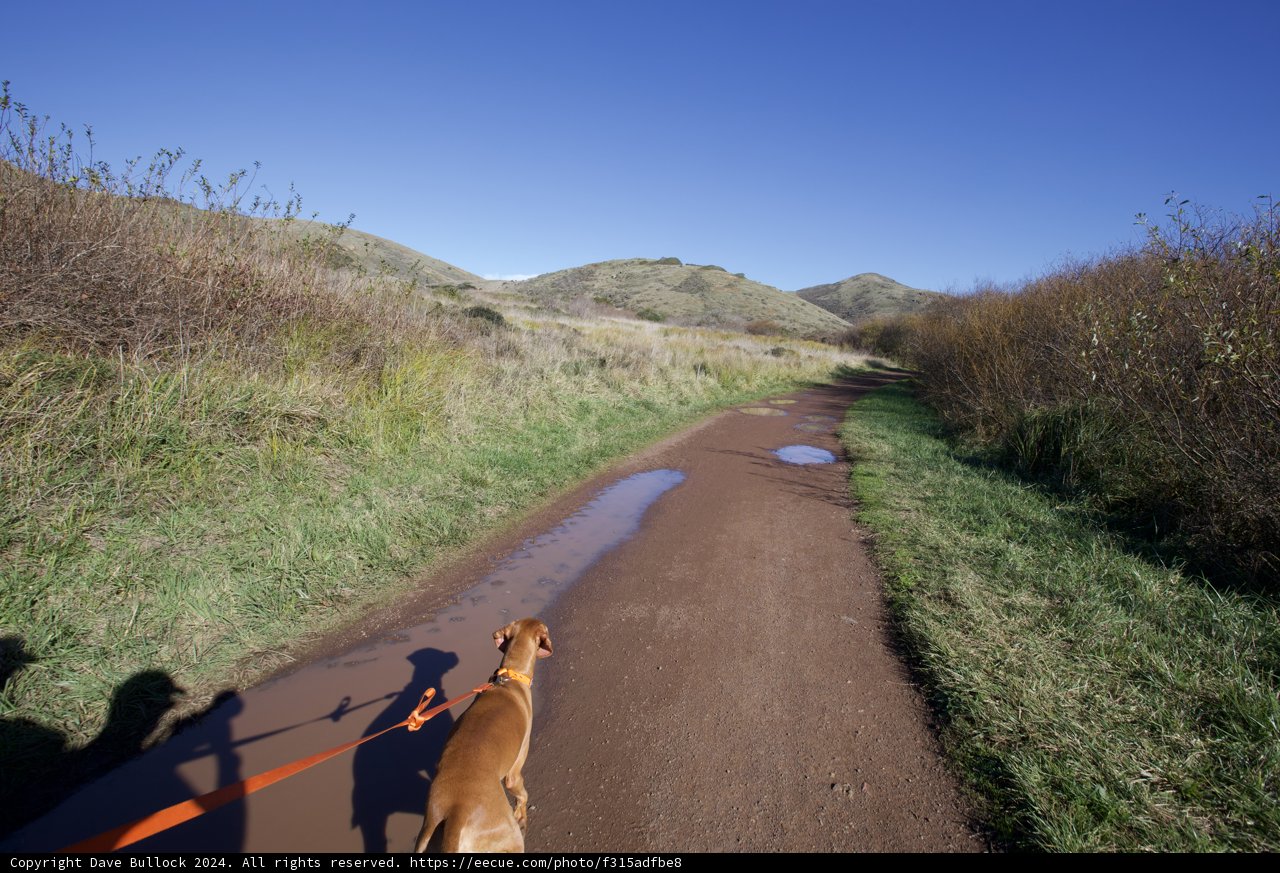 A Blissful Stroll in the Marin Headlands