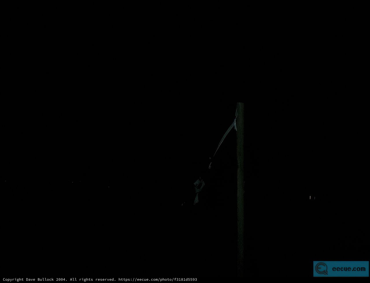 Illuminating the Night