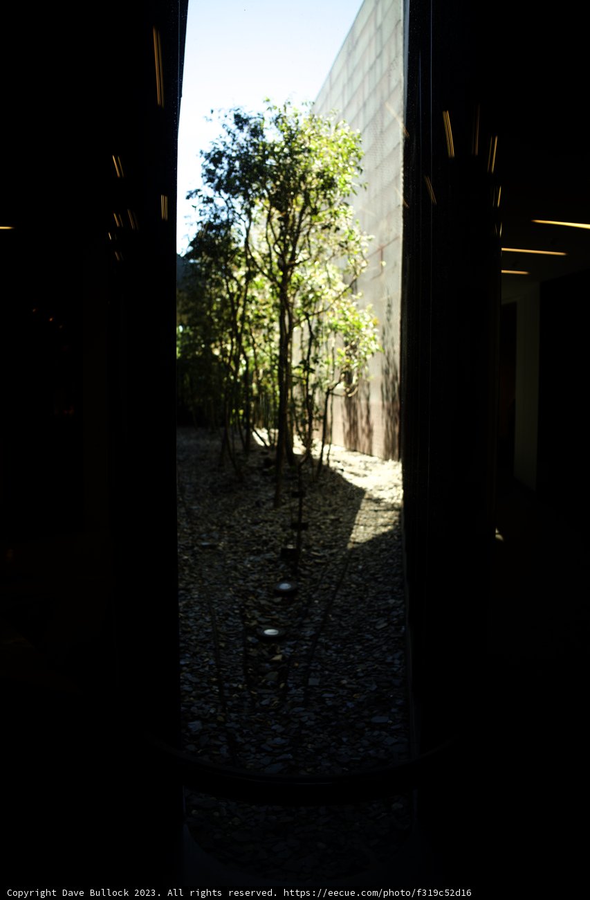 Window to Nature in an Urban Jungle