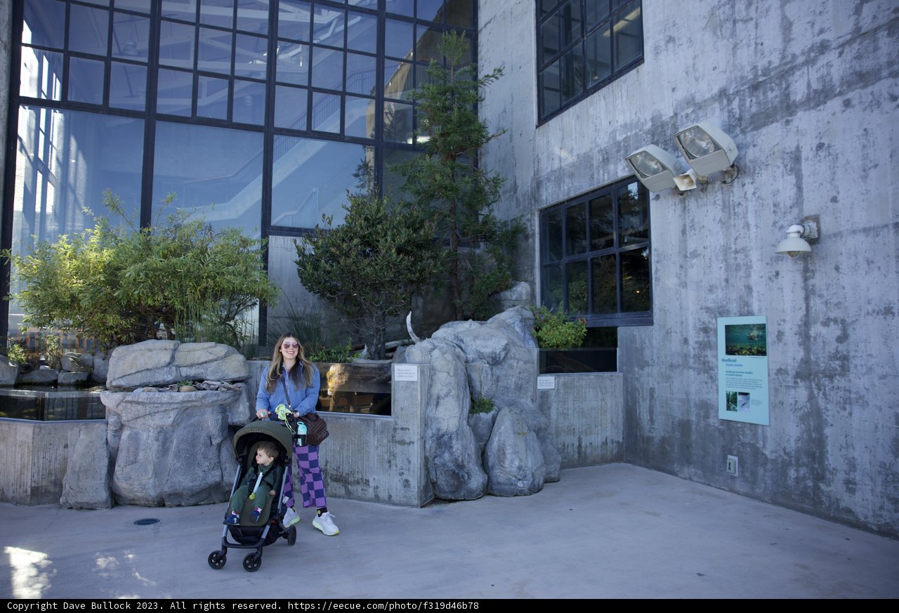 Urban Adventure: A Day at Monterey Bay Aquarium