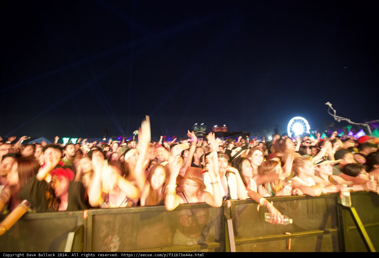 Concertgoers are Living it Up at Coachella 2014