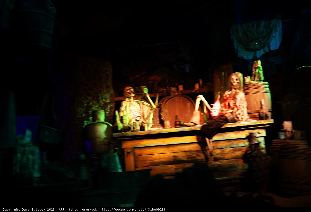 Mysterious Crypt Exploration at Disneyland
