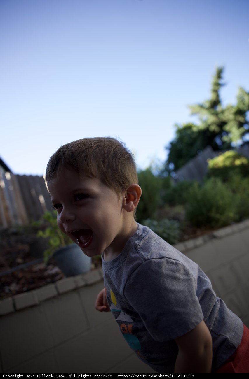 Joyful Laughter in the Backyard