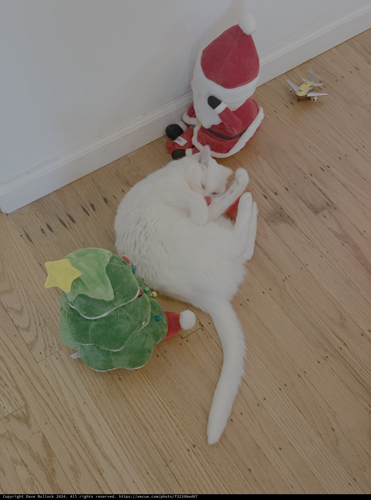 White Cat Playing with Christmas Decorations