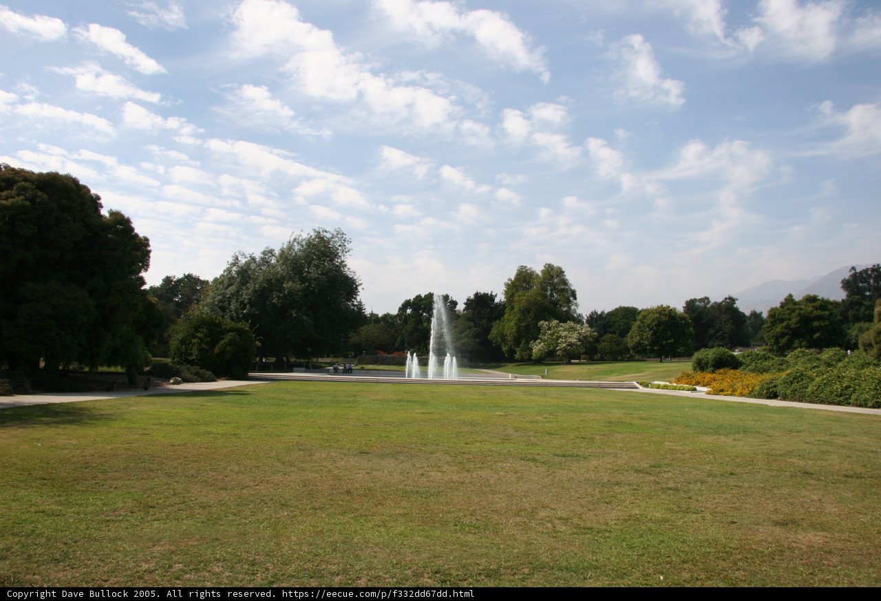Serenity in the Fountain Field